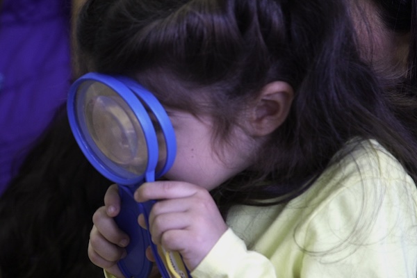 Child using two magnifying glasses on top of each other to look at bugs.
