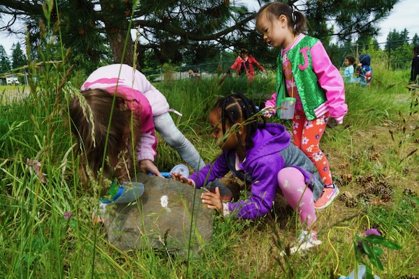 Children looking for bugs in a grassy field.